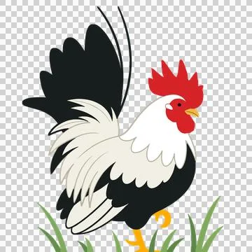 Chicken Stock-Illustration