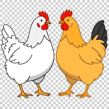 Chicken Stock-Illustration