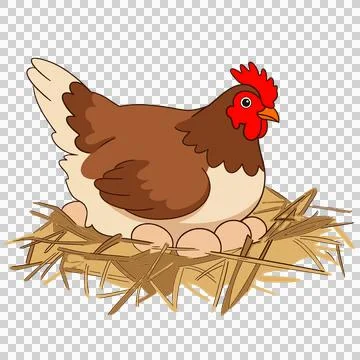 Chicken 库存插图
