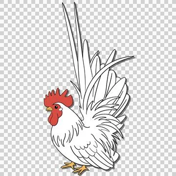 Chicken Stock-Illustration