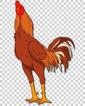 Chicken 스톡 일러스트