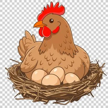 Chicken Stock-Illustration