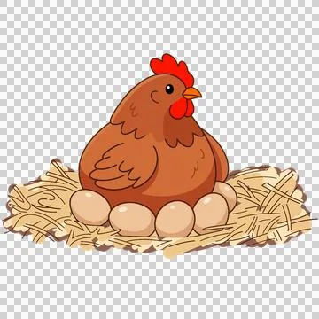 Chicken 스톡 일러스트