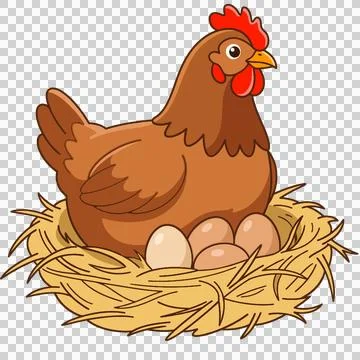 Chicken 스톡 일러스트