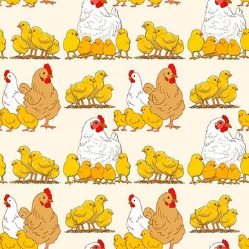 Chicken Stock-Illustration