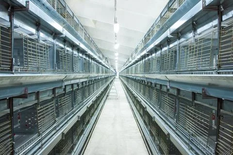 Chicken incubator machine, new empty hatchery, agricultural industry Stock Photos