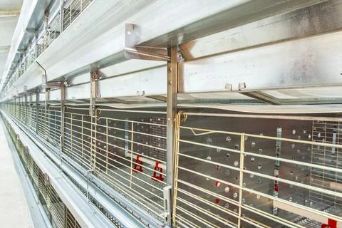 Chicken incubator machine, new empty hatchery, agricultural industry Stock Photos