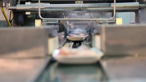 Chicken industry Stock Footage 141417628
