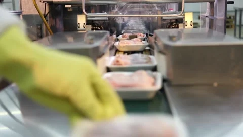Chicken industry Stock Footage 141417724