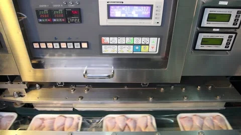 Chicken industry Stock Footage 141417810