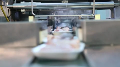 Chicken industry Stock Footage 141417822