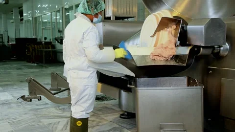Chicken industry Stock Footage 141418031