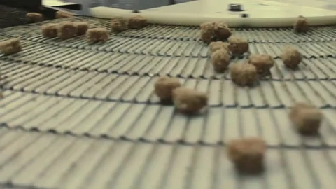 Chicken industry Stock Footage 145853153