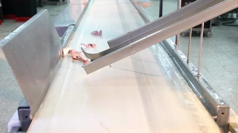 Chicken industry Stock Footage 145853389