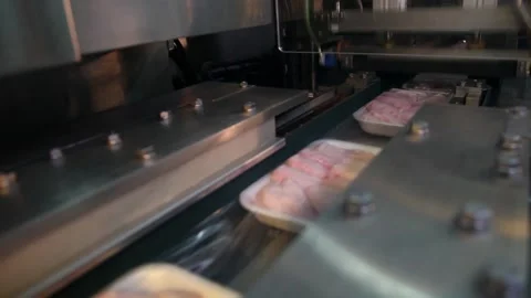 Chicken industry Stock Footage 145853478