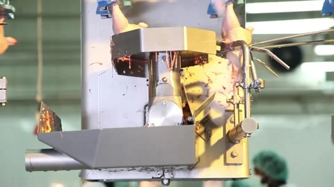 Chicken industry Stock Footage 145853549