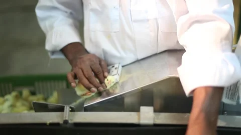 Chicken industry Stock Footage 145853754