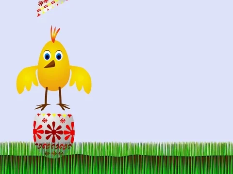 Chicken jumping from Easter egg Stock Footage