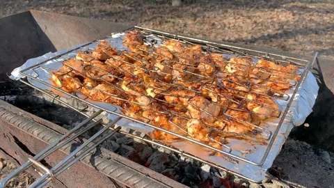 Chicken kebab Stock Footage 106210814