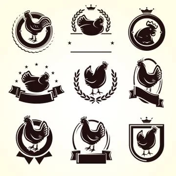 Chicken labels and elements set. Collection icon chicken. Vector Stock Illustration