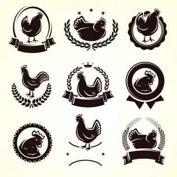 Chicken labels and elements set. Collection icon chicken. Vector Stock Illustration
