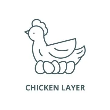 Chicken layer vector line icon, linear concept, outline sign, symbol Stock Illustration
