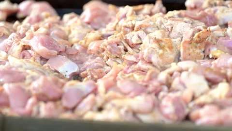 Chicken Leg BBQ Stock Footage 289556687