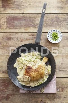 A chicken leg in a shallot and cream sauce Stock Photos