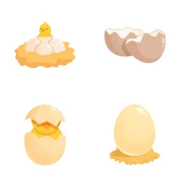 Chicken life cycle stage vector icons Ilustración de archivo