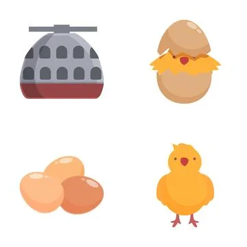 Chicken lifecycle stages illustration set Stockillustratie