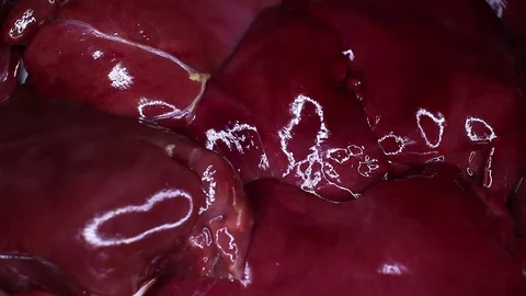 Chicken liver raw rotating seamless looping food texture pattern close up Stock Footage 103085435