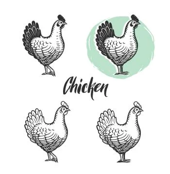 Chicken logotypes set. Hen meat and eggs vintage produce elements. Stock Illustration