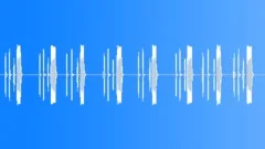 Chicken, loopable, SFX Sound Effect