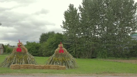 Chicken made of hay Stock Footage 81142279
