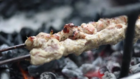 Chicken Malai Tikka Stock Footage 132582042