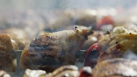 Chicken Meat and Vegetables Rotating and Taking Stock Footage 145252290