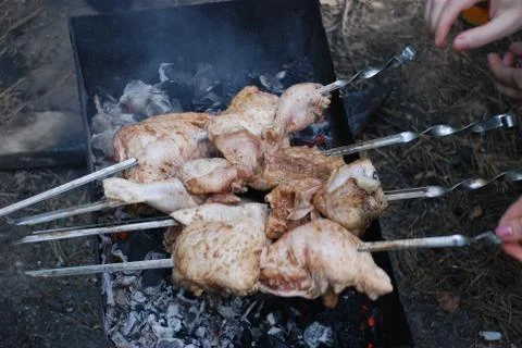 Chicken meat for barbeque Stock Photos