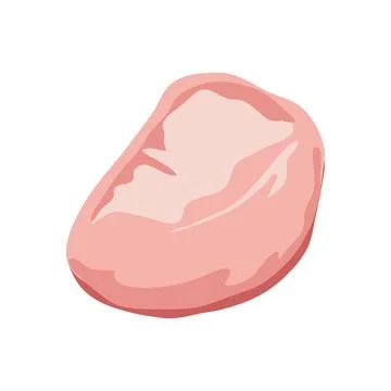 Chicken meat in flat design. Pink uncooked poultry fillet, butchery menu. Vec Stock Illustration