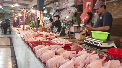 Chicken Meat Stock Footage 243545853