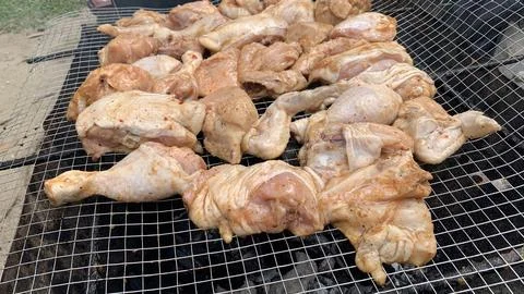 Chicken meat on the grill Stock Photos