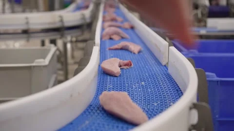 Chicken meat processing in food factory Stock Footage 300888430