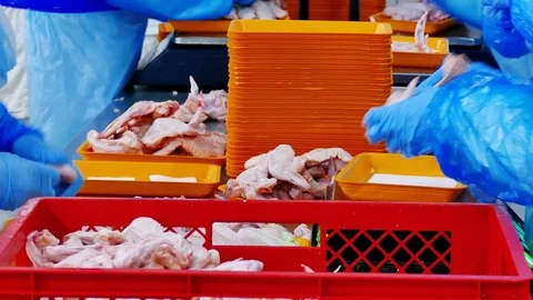 Chicken Meat Processing Plant Stock Footage 118597881