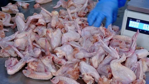 Chicken Meat Processing Plant Stock Footage 118599076