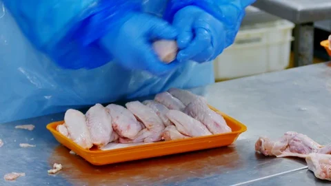 Chicken Meat Processing Plant Stock Footage 118601806