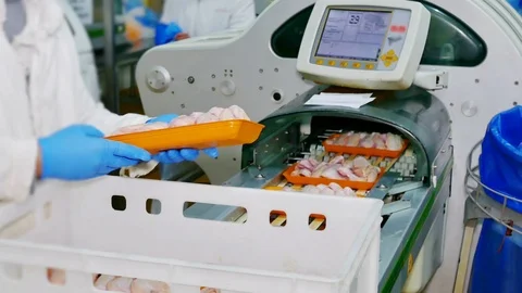 Chicken Meat Processing Plant Stock Footage 119259814