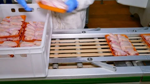 Chicken Meat Processing Plant Stock Footage 119259865