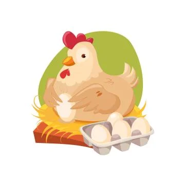 Chicken Nesting Laying Fresh Eggs, Farm And Farming Related Illustration In Stock Illustration
