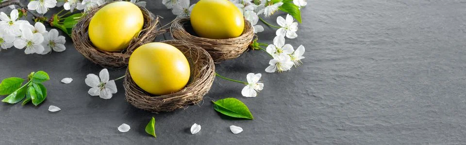 Chicken nests with painted Easter eggs on dark tabletop. Holiday greeting car Stock Photos