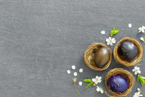 Chicken nests with painted Easter eggs on dark tabletop. Concept creative ban Stock Photos