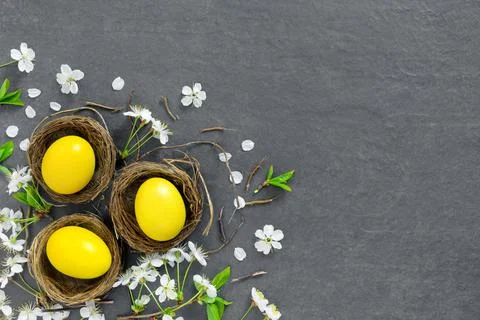 Chicken nests with painted  yellow  Easter eggs on dark tabletop. Holiday gre Stock Photos